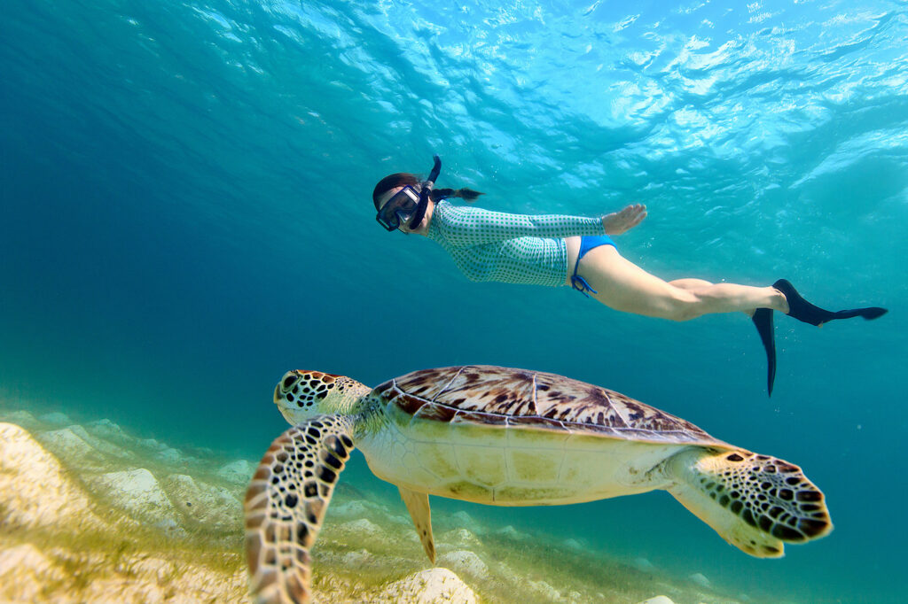 Snorkeling with a turtle